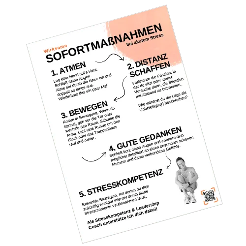 Vorschau des Notfallplans „Wirksame Sofortmaßnahmen bei akutem Stress“: Atmen, Distanz schaffen, Bewegen, gute Gedanken, Stresskompetenz