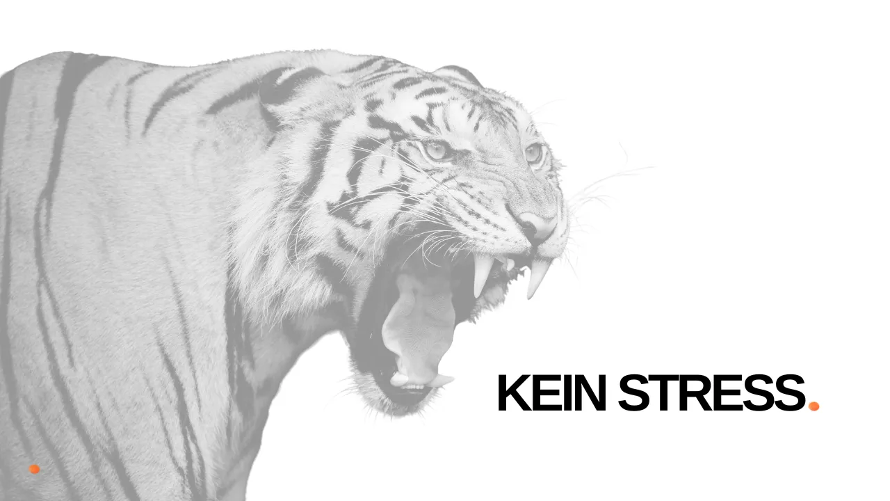 Ein fauchender Tiger in hellem Grau, daneben in großen Buchstaben „Kein Stress.“ mit orangefarbenem Punkt.